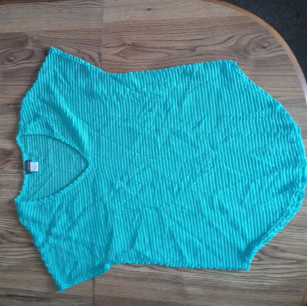 Swim suit cover